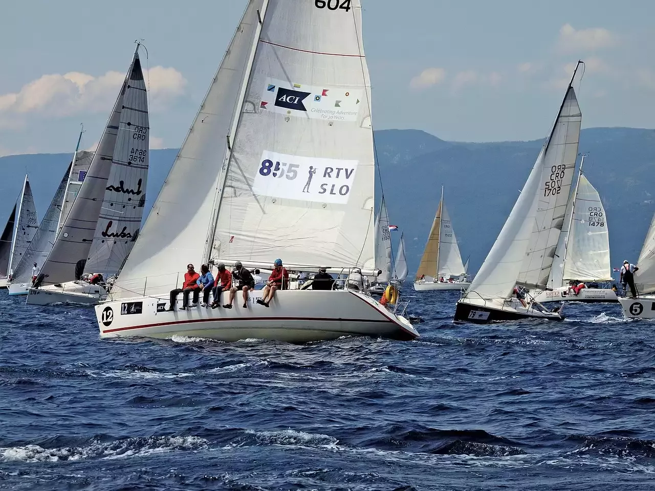 Sailing 101: Understanding the Wind and the Sails