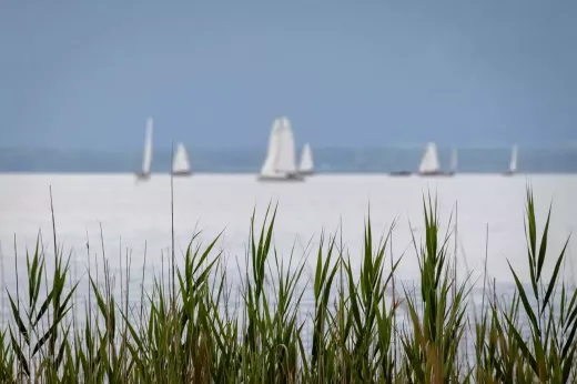 Sustainability and Eco-Friendly Practices in Sailing